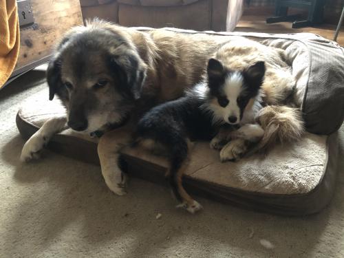 DFD5BB15-9BB2-4D9D-BE1A-A93173071D70