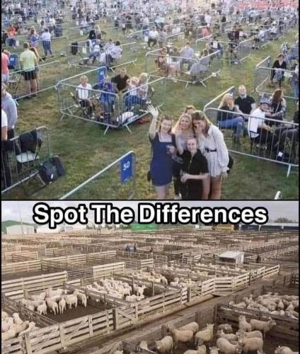 08:28:21 GMT-0500 (CDT)