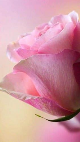 14:28:48 GMT-0500 (CDT)