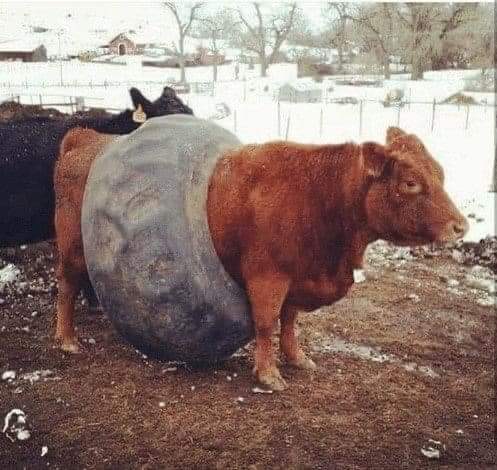 16:19:45 GMT-0400 (EDT)