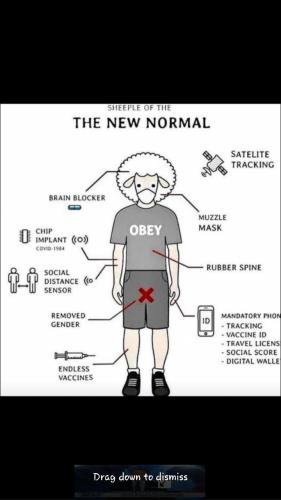 14:25:05 GMT-0700 (PDT)