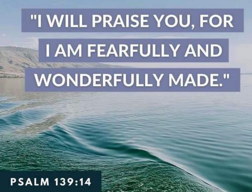 03:40:15 GMT-0700 (PDT)