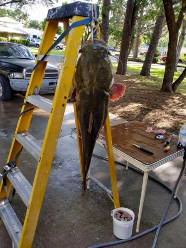 13:12:31 GMT-0500 (CDT)