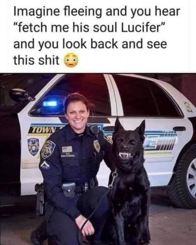 14:26:29 GMT-0500 (CDT).image