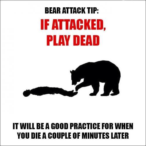 17:08:57 GMT-0600 (MDT).image