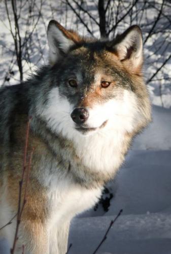 7a963b71e79e54359cb0c2a4664d56bd