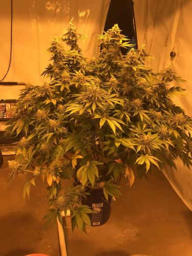 150C6697-5231-4E14-995D-BC70BCBF7D9B-2031-000001AD69ADDA8E