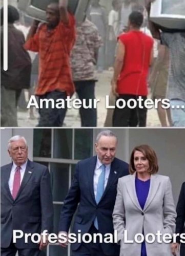 AMATUER PROFESSIONAL LOOTERS (2)