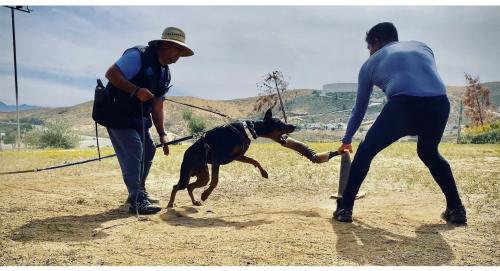 00:32:34 GMT-0700 (PDT).image