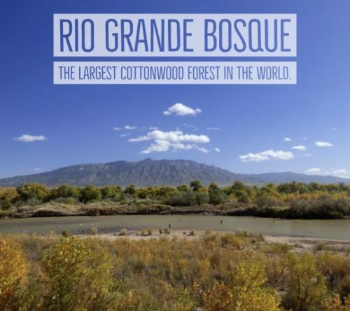 tumblr_232021cf281b5391df9306c1b34a12b4_10c8646d_540