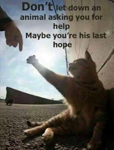 06:26:16 GMT-0500 (CDT)