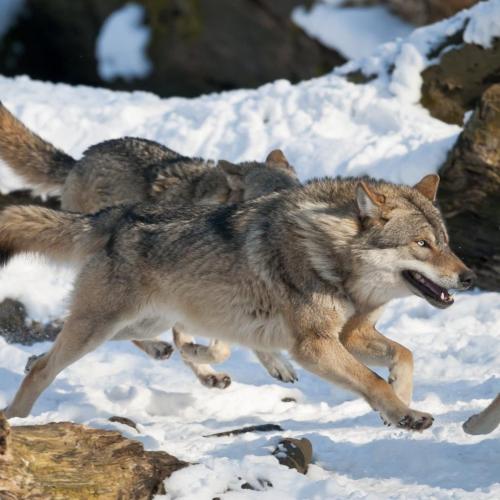 189793398_328864012140965_4798552214784074251_n