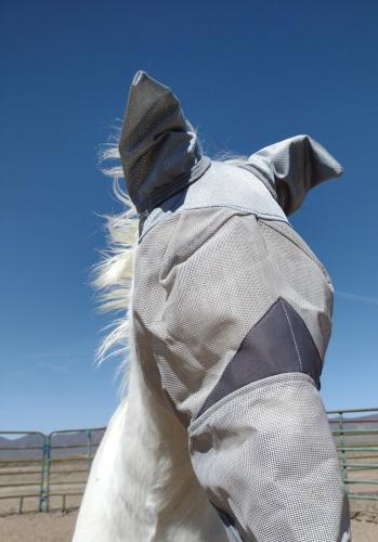 IMG_20210508_102447777~2