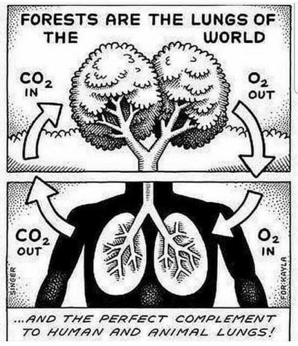 18:20:53 GMT-0400 (EDT)