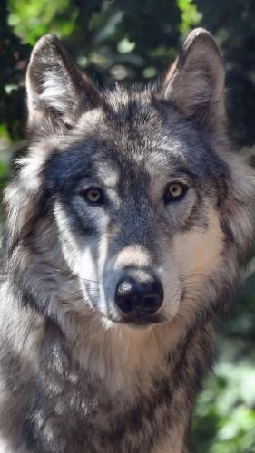 a1fe576c81e68393ae80e57edc728647