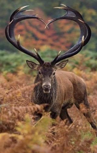 182685815_10219755642823374_7381088225166004158_n