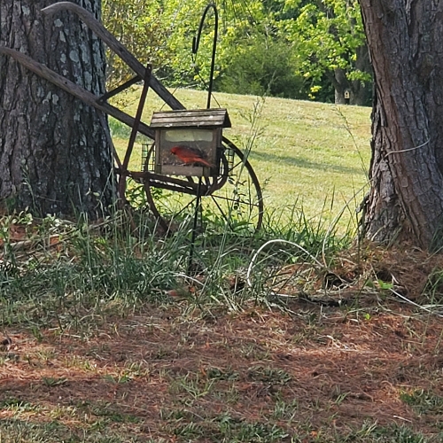 08:51:03 GMT-0400 (EDT)