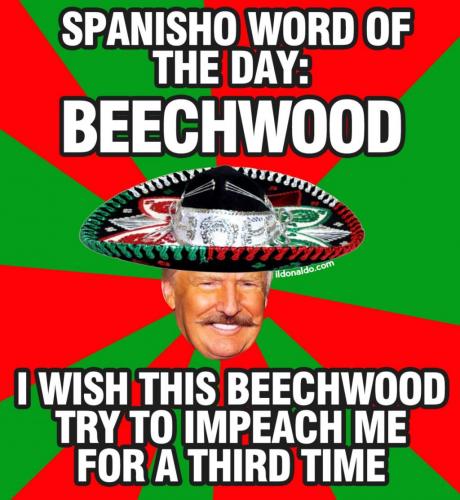 IMG_20210520_192559_226