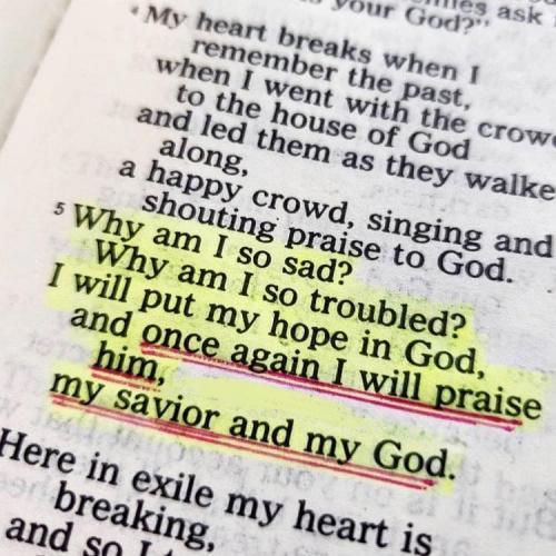 00 - 28c9a4015f53529c28df85ce1b51a6eb