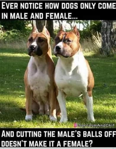 22:29:12 GMT-0700 (PDT)