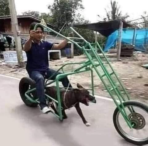 20:06:49 GMT-0400 (EDT).image