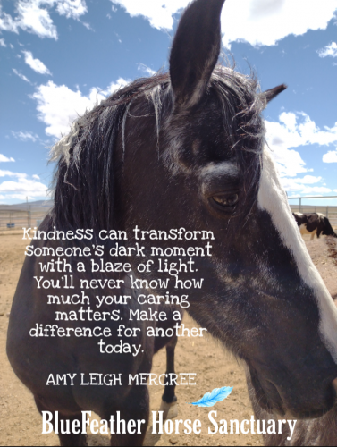 Screenshot_20210521-071233-541