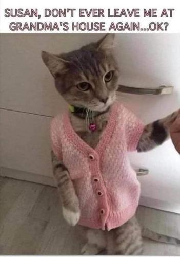 20:54:59 GMT-0700 (PDT)