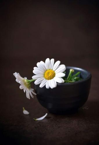 20:35:15 GMT-0500 (CDT)