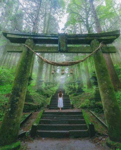 189467311_323460069150002_349161041652519479_n