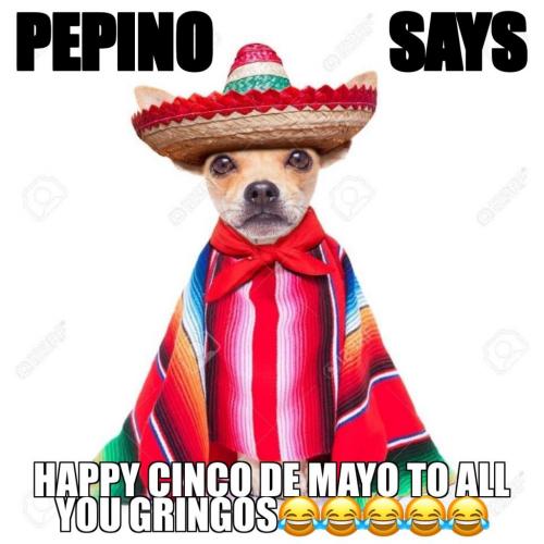 A1584BE6-2872-4D45-BE40-EEFBC7FBD753