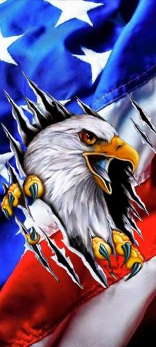 15:46:05 GMT-0400 (EDT)