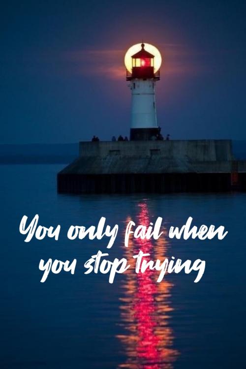 78990A3D-85E8-4153-91DF-8492C8E146A7