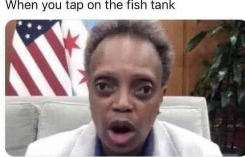 17:53:53 GMT-0400 (EDT)