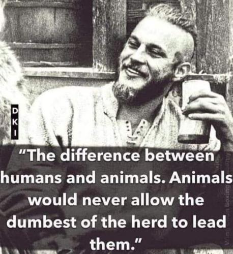 20:55:22 GMT-0400 (EDT)