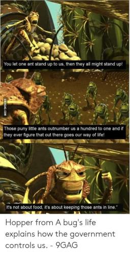 FB_IMG_1619922024075