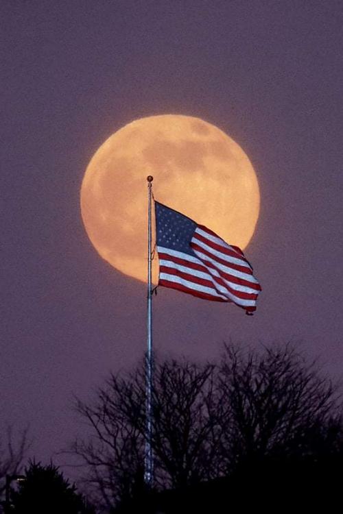 FB_IMG_1609540130220