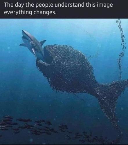 photo_2021-05-23_03-05-44