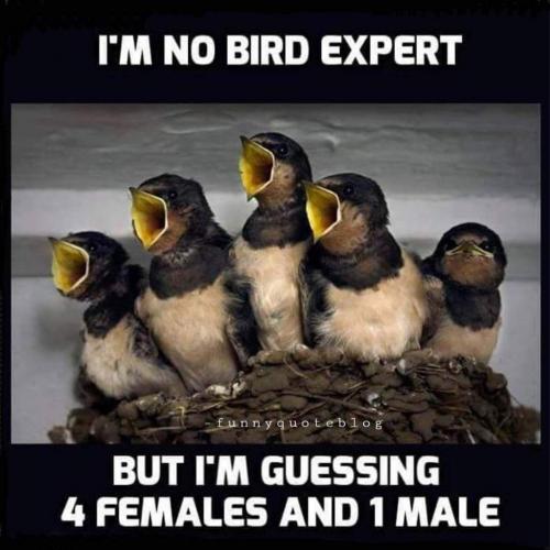 14:48:56 GMT-0400 (EDT)