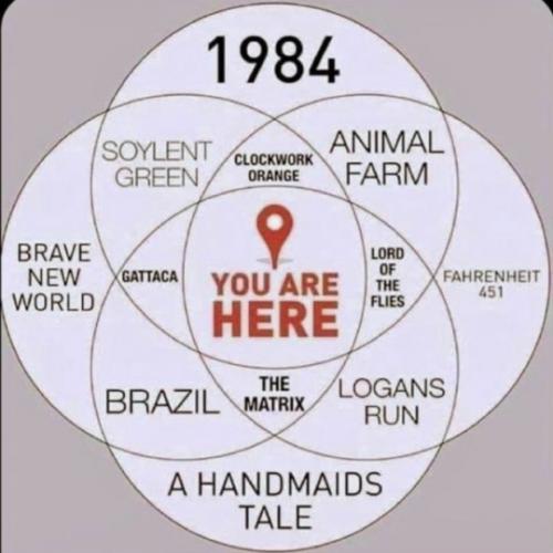 tumblr_6e08204c963233329cbbae955d05f6bc_aa577858_540