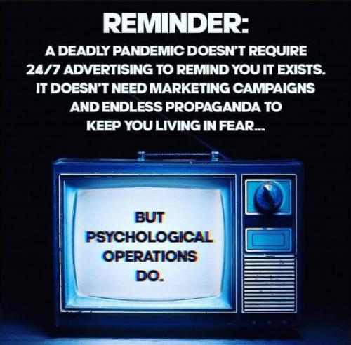 scamdemic05