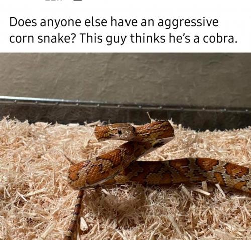 01:07:27 GMT-0400 (EDT)