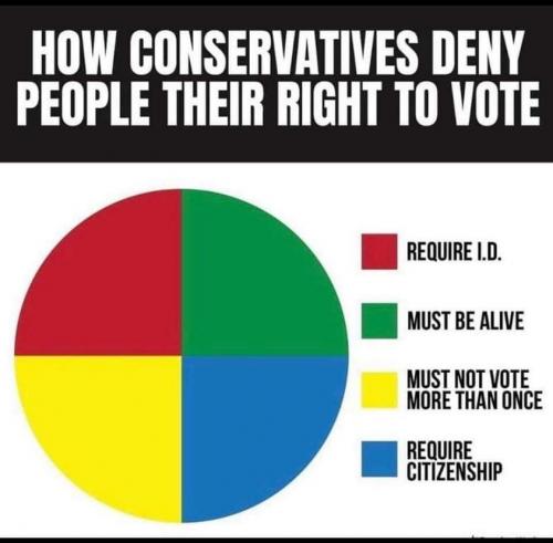 How Conservatives Deprive People Of Their Right To Vote - meme