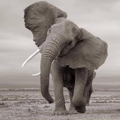 181018208_1860159010816969_4465880248625984552_n