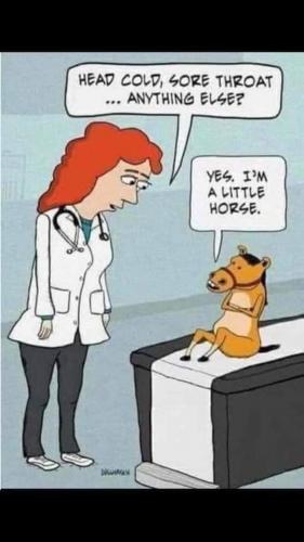 20:02:46 GMT-0400 (EDT)