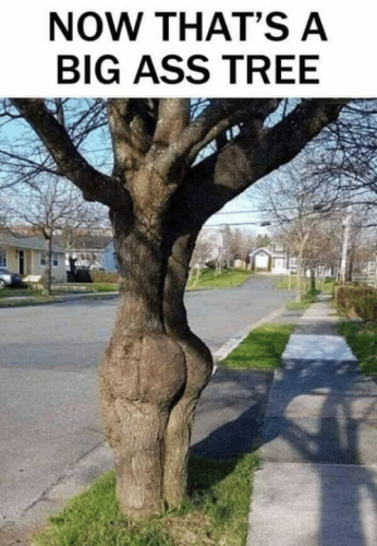 20:34:12 GMT-0400 (EDT)