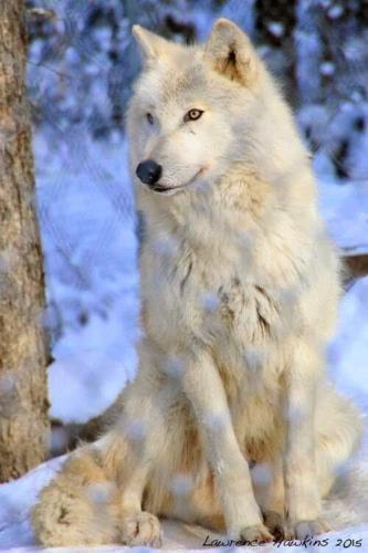 11:14:31 GMT-0500 (CDT)