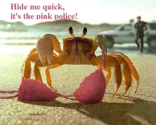 FB_IMG_1620780274274