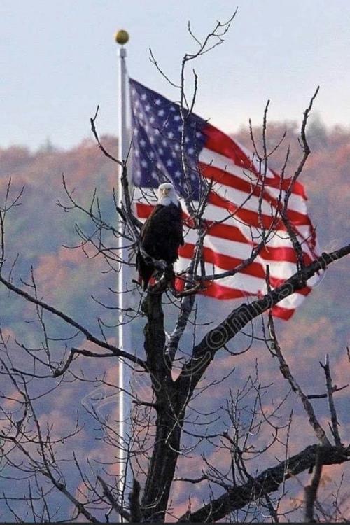 16:46:25 GMT-0400 (EDT).image