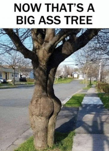 20:31:45 GMT-0400 (EDT)