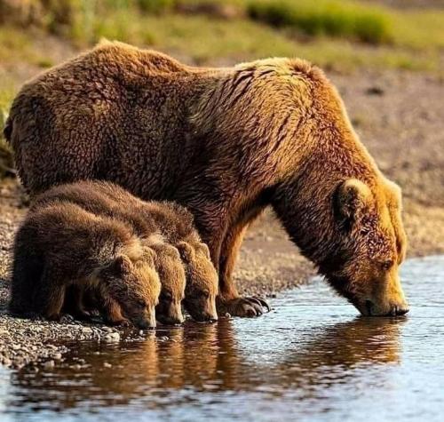 187972122_917248282453825_3802090621827736109_n